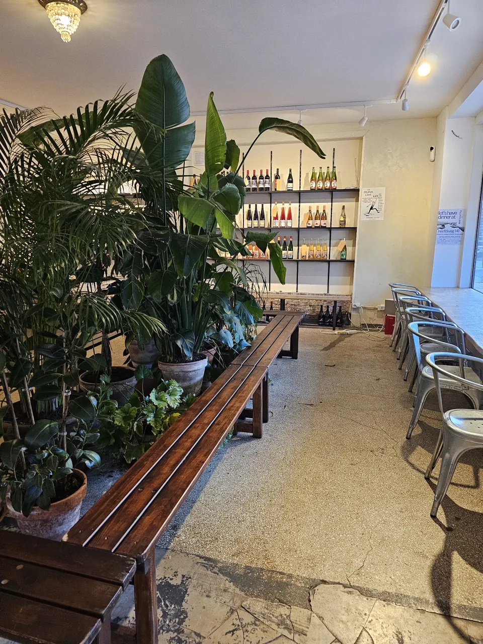 Binnen: lange zitbank tussen de planten – Mundi